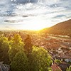 Profil Haus & Grund Baden Vs Profil Haus & Grund Baden Vs