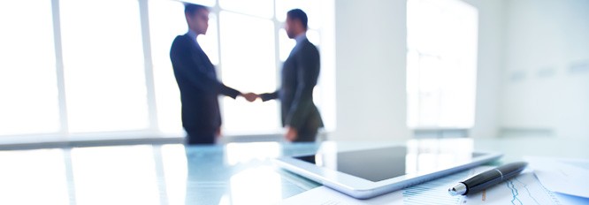 Ansprechpartner