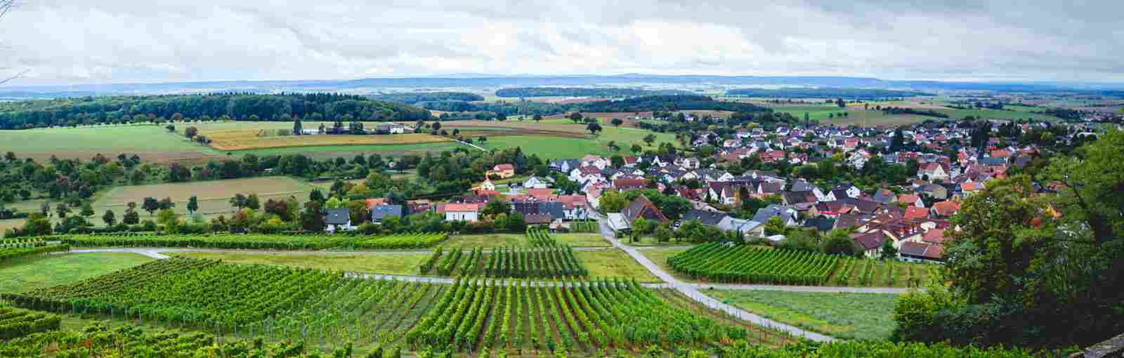 Haus & Grund Sinsheim