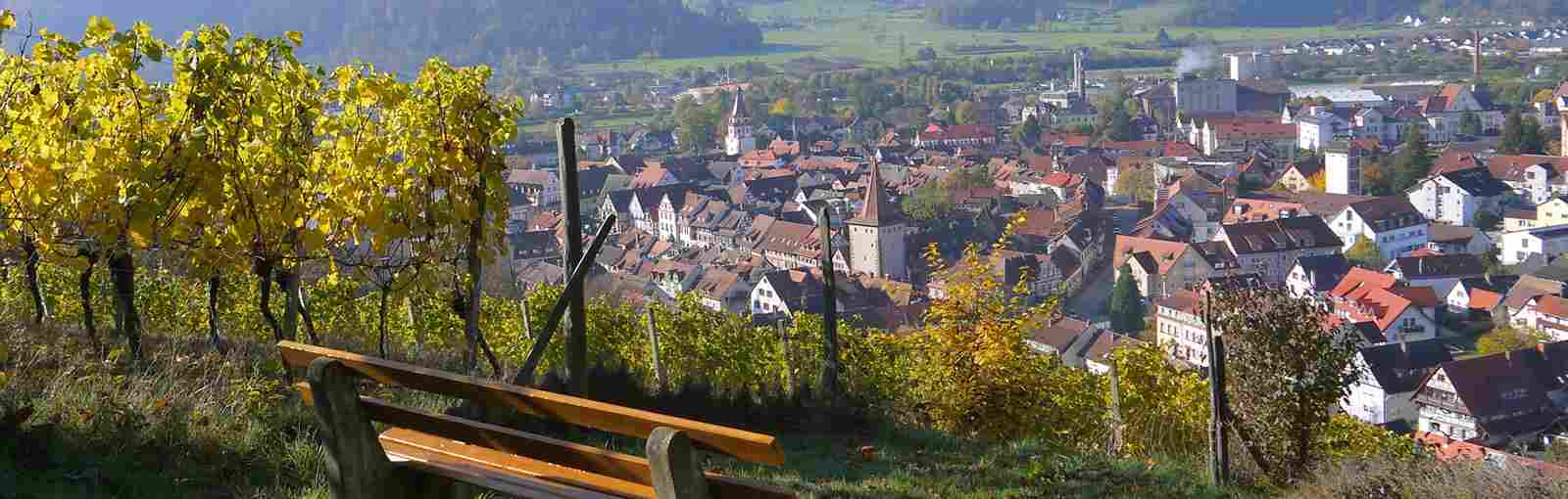 Haus & Grund Gengenbach-Zell